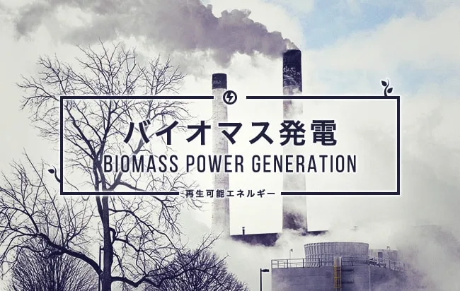 バイオマス発電ファンド第377号