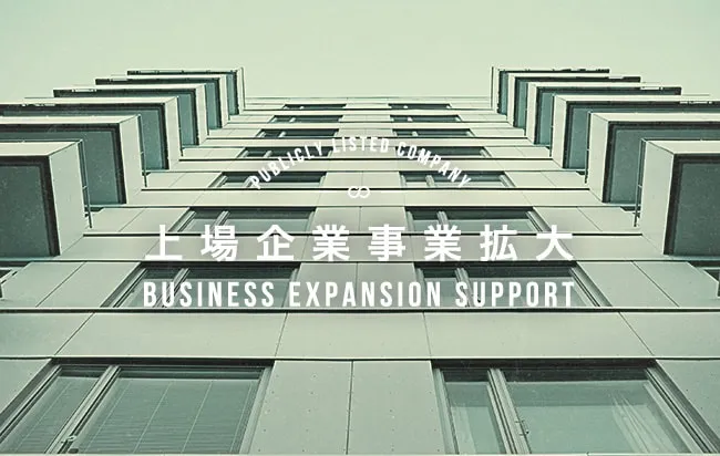 上場企業事業拡大支援ファンド第289号